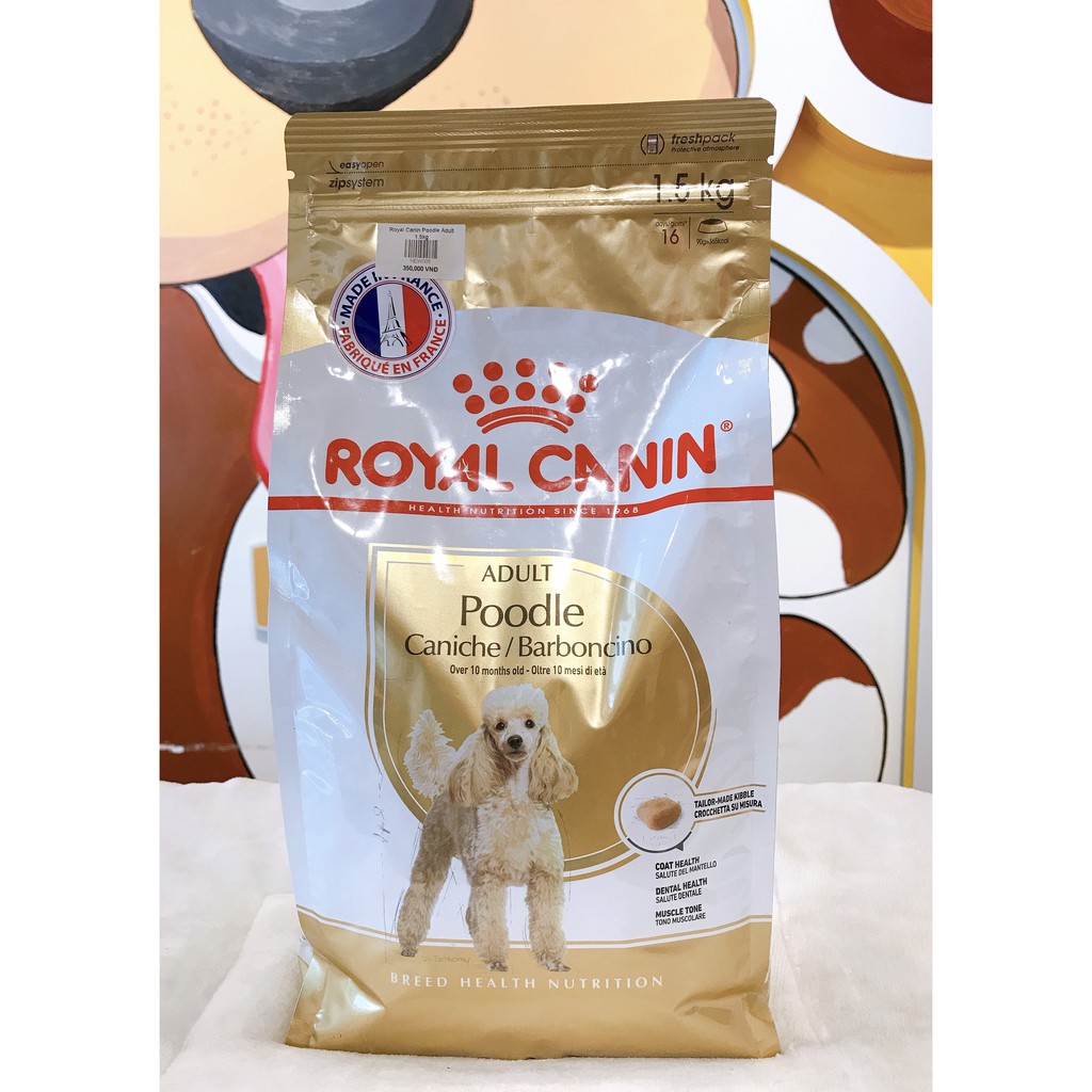 Poodle Adult 1,5kg