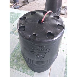 chậu nhựa size 9