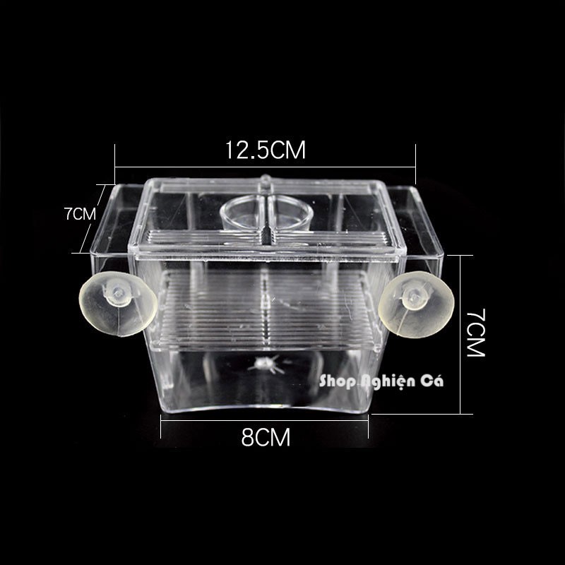 LỒNG DƯỠNG cá tép cách li cá nhiều ngăn