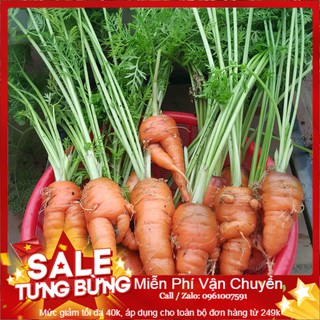 Hạt Giống Cà Rốt F1 -100 Hạt