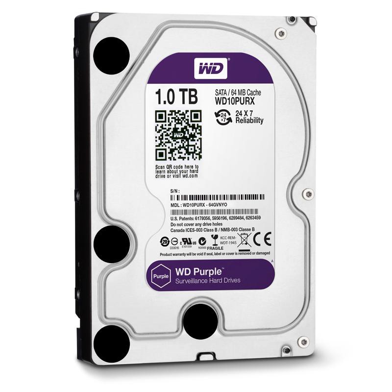 Ổ cứng HDD 1Tb Western Purple (màu tím) cho camera - Pk Máy