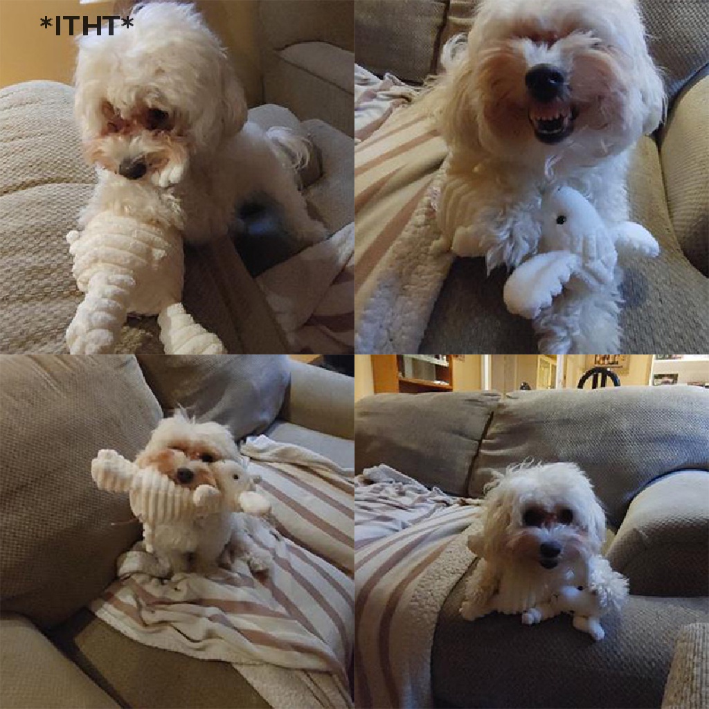 [ITHT] Đồ Chơi Bằng Vải Nhung Hình Động Vật Chống Cắn Cho Thú Cưng [Hot]