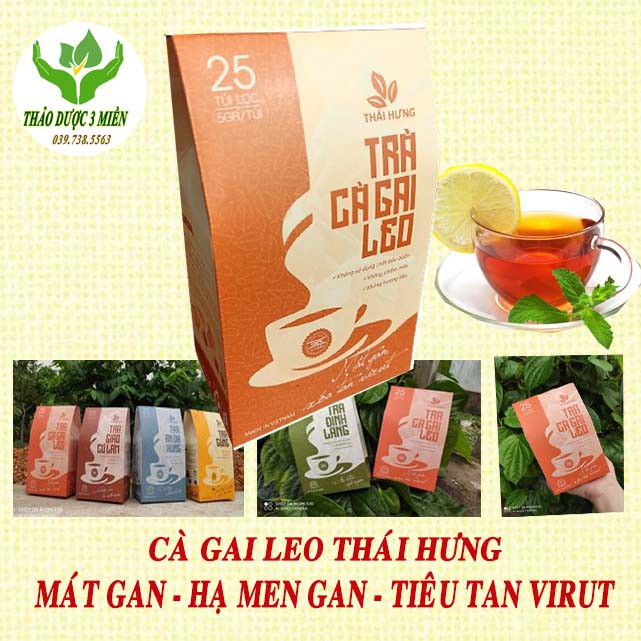 Trà Giải Độc Gan Mát Gan Cà Gai Leo Thái Hưng 25 Túi Lọc 125g Xóa Tan Mụn Nhọt Mẩn Ngứa hàng chính hãng