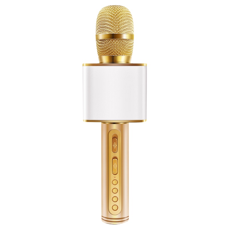 Micro karaoke Bluetooth PKCB391 kèm Loa Âm thanh cực đỉnh cao Cấp Cắm thẻ nhớ 3 trong 1 Hàng chính hãng