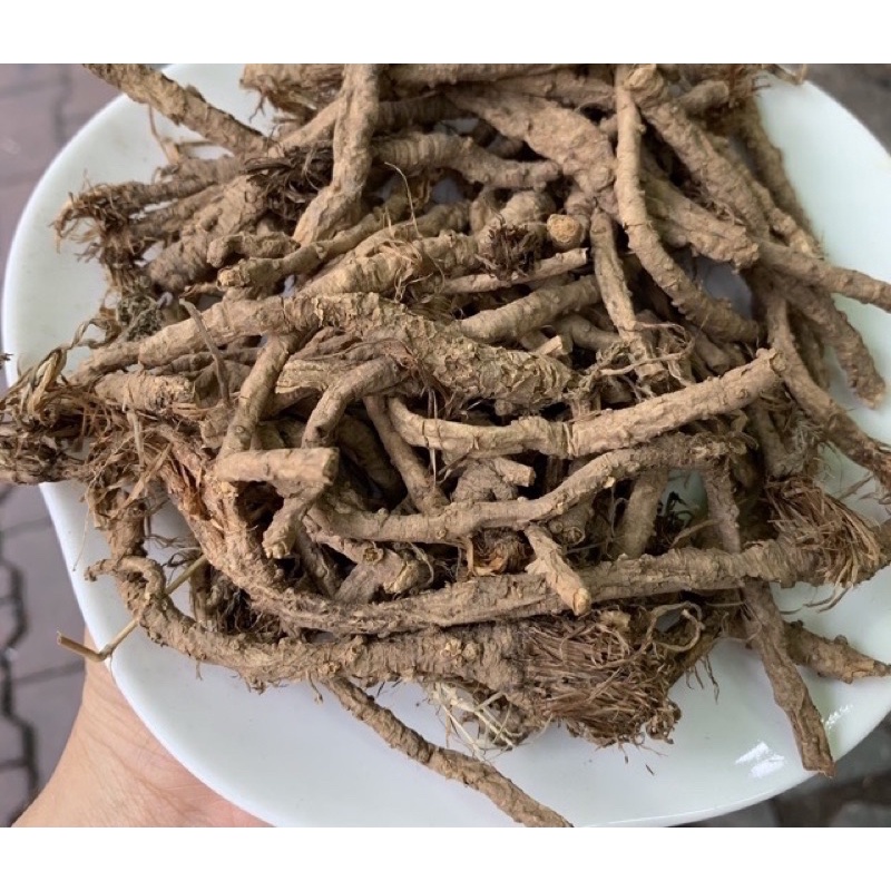 PHÒNG PHONG Loại 1