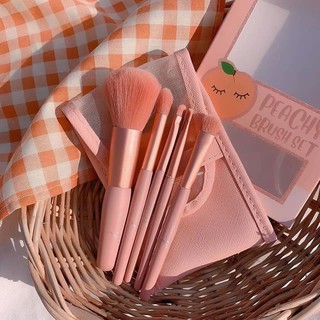 Bộ cọ trang điểm Thái Lan Ashley Peachy 5 cây tone Cam đào Vỡ Hộp-Lizan chuyên sĩ mỹ phẩm tp hcm