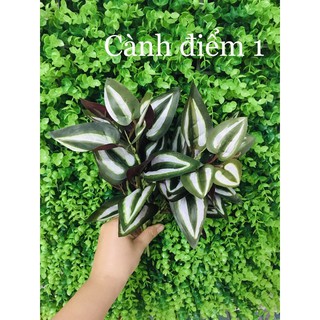 cành thài lài tím trang trí quán coffee, tiểu cảnh, thảm cỏ nhân tạo