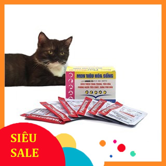 Men Hỗ Trợ Tiêu Hóa Pharbiozym 5G Cho Chó Mèo Giúp Ăn Ngon Thèm Ăn - Bobo Pet Shop  Hà Nội