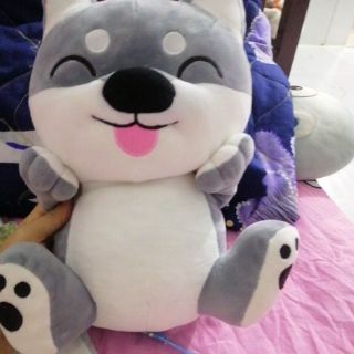 Gấu bông Vũ thy