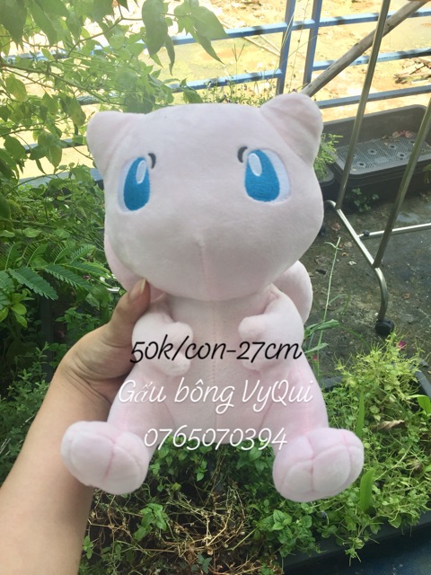 Gấu bông poke sưu tầm size 25 đến 30cm