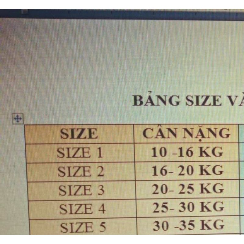 xưởng sỉ áo cờ đỏ sao vàng trẻ em