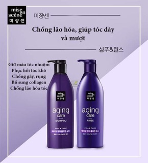 Combo dầu gội và xả perfect