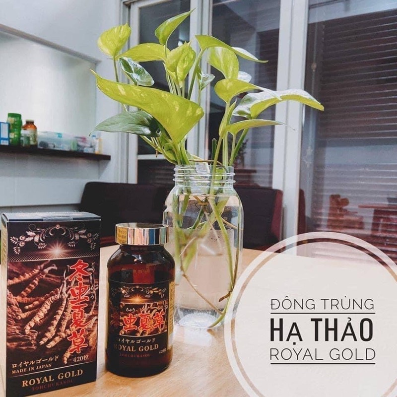 Đông trùng hạ thảo tohchukasou royal gold 420 viên nhật bản - ảnh sản phẩm 2