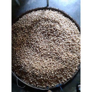 Củ nén, hành tăm Quảng Bình (1kg)