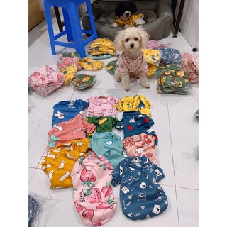 Áo mùa đông, áo nỉ cho thú cưng