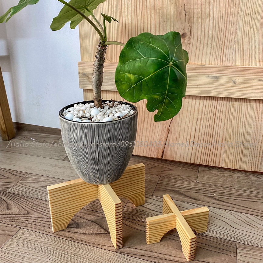 Đôn gỗ mini đặt cây cảnh - Kệ Gỗ Decor cây cảnh CCG11