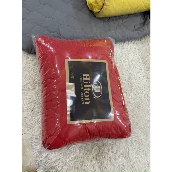 XẢ HÀNG SÉT COTTONG ĐŨI CHUN TRẦN 1 MÀU TẶNG KÈM 2 VỎ GỐI- - loại 1