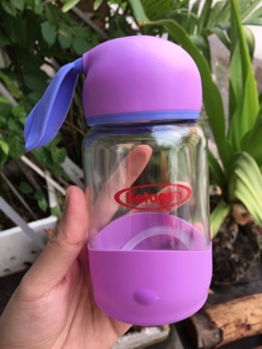 BÌNH NƯỚC TAI THỎ thủy tinh