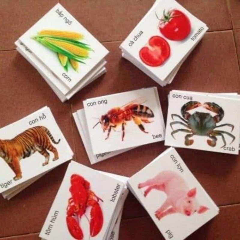 Bộ thẻ học thông minh