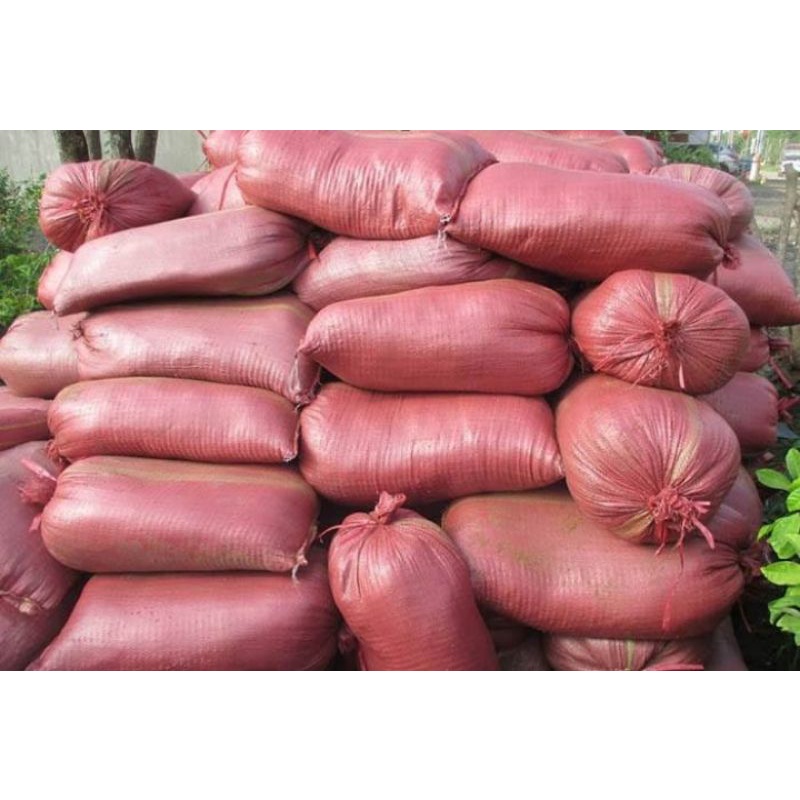 Mụn xơ dừa trồng rau, hoa kiểng