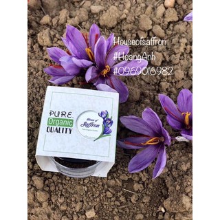 Nhuỵ hoa nghệ Tây - kashmir saffron