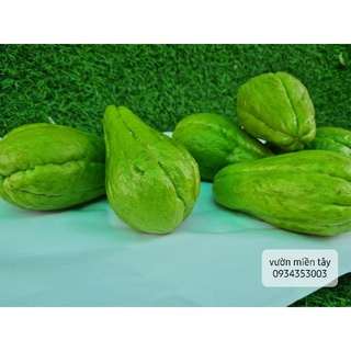 Quả SU SU -1kg ( 3 trái)
