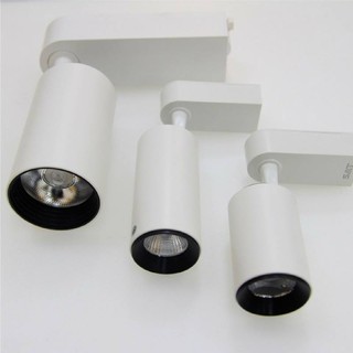 Đèn Led rọi ray + đé LEOT 12W