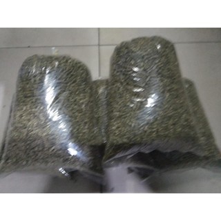 Cỏ linh lăng Alfalfa  dành cho gà đá
