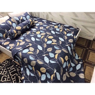 Bộ chăn ga gối m6-2m