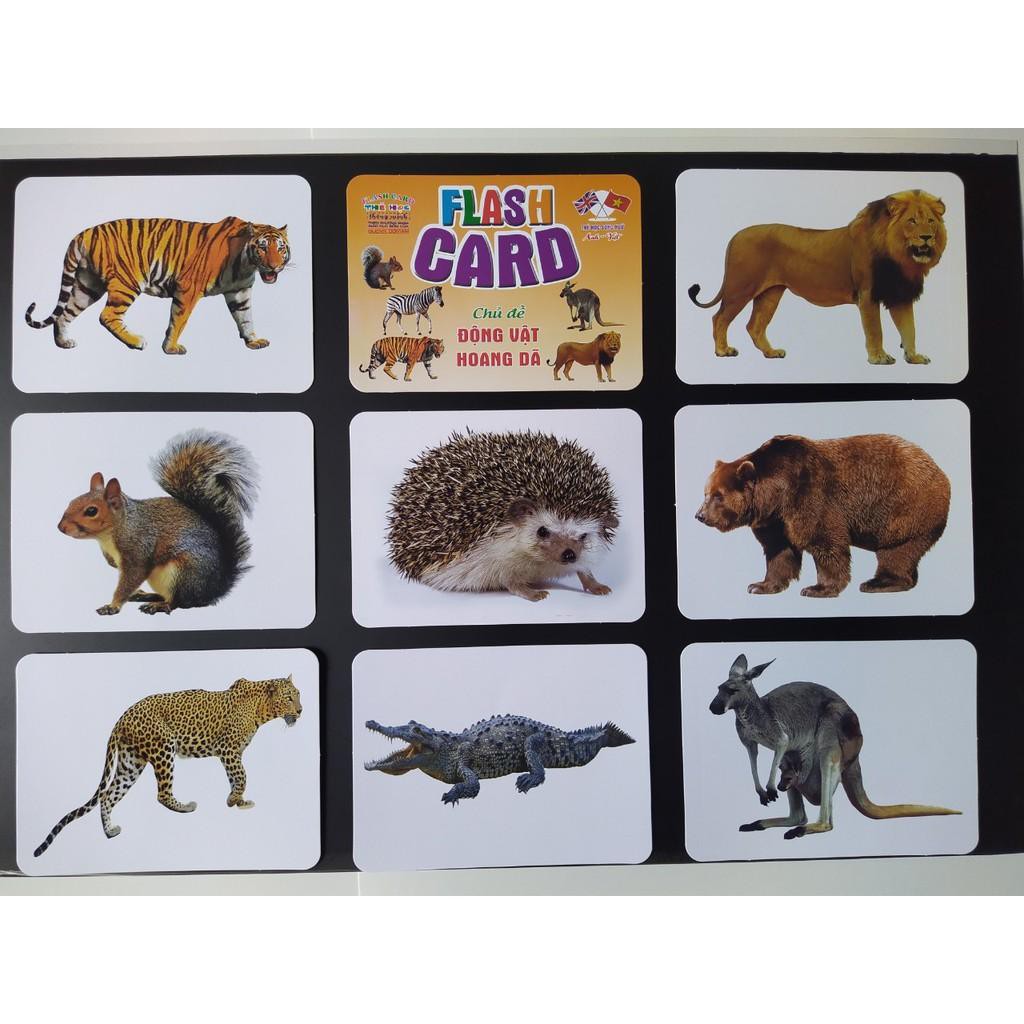 Bộ Thẻ Học Thông Minh cho bé 18 Chủ Đề theo phương pháp giáo dục sớm Glenn Doman loại to song ngữ Flashcard tiếng Anh