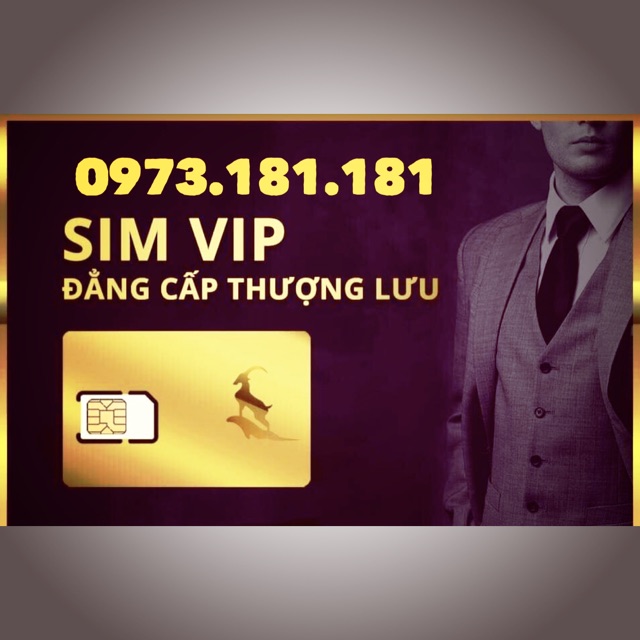 Sim taxi vip