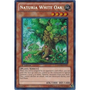 Thẻ bài Yugioh - TCG - Naturia White Oak / HA04-EN051 '