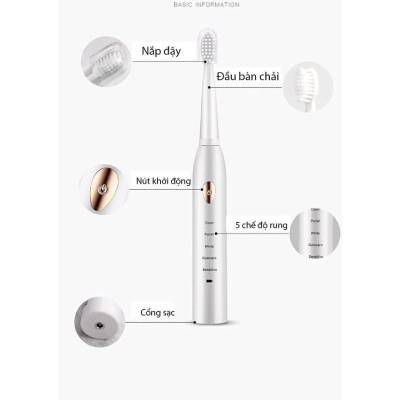 BÀN CHẢI ĐÁNH RĂNG ĐIỆN TỰ ĐỘNG CHO NGƯỜI LỚN ELECTRIC TOOTHBRUSH