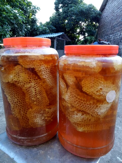 Mật ong rừng nguyên sáp hảo hạng 1kg