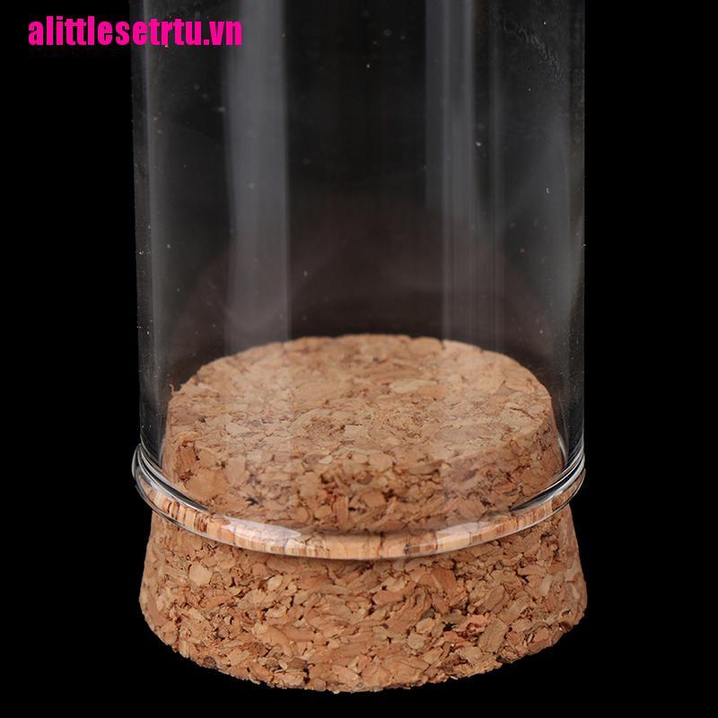 【Trvn】1/6 Doll Glass Dome Display Wood Cork Bell Jar With Wooden Base Decoatio