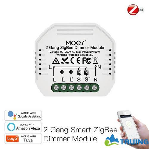 Mini DIY Tuya Zigbee Smart 2 / Gang Light Dimmer Module Hub Requires Smart Life Alexa Google Home Voice Control TRUING