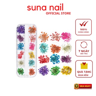 Hoa khô nail trang trí móng , hoa khô chùm 12 màu