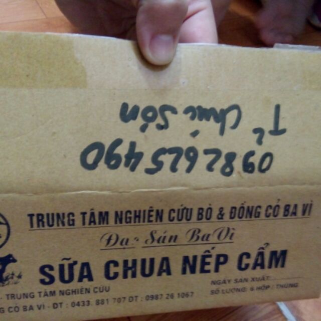 Sữa chua nếp cẩm đặc sản ba vì