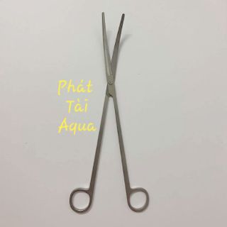 Kéo cong inox 25cm