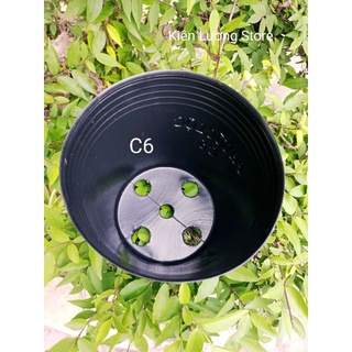 Chậu nhựa đen C6