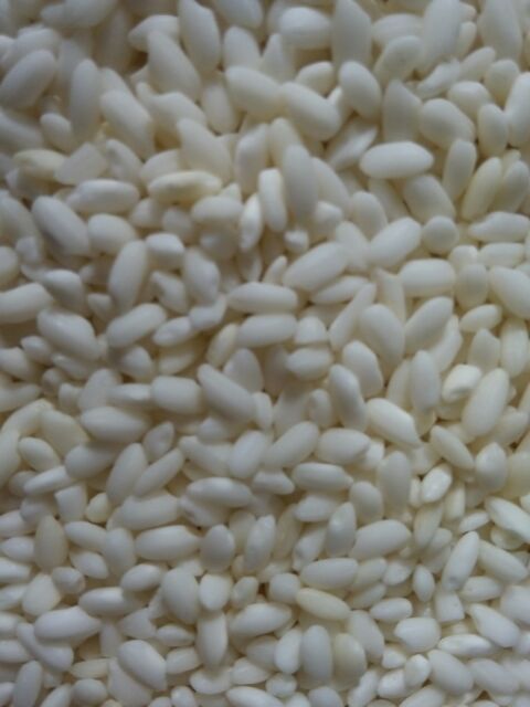 Nếp Cái Hoa Vàng ( Nếp Bắc) | BigBuy360 - bigbuy360.vn