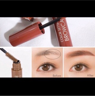 Mascara chân mày Missha Color Setting Brow