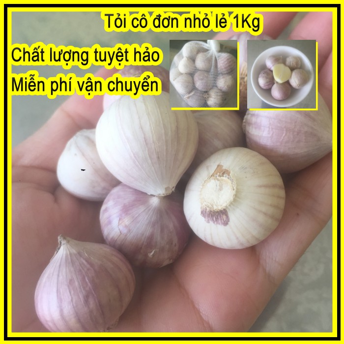 Tỏi cô đơn 1Kg