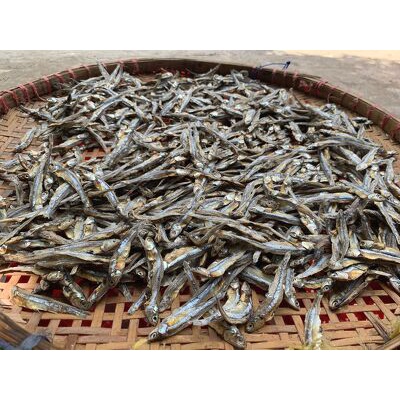 Khô cá cơm Kiên Giang