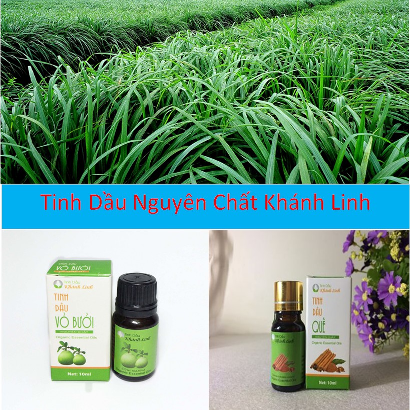 Tinh Dầu - Tinh Dầu Nguyên Chất Khánh Linh Lọ 10ml