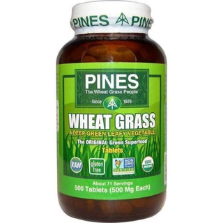 Viên cỏ lúa mì hữu cơ pines 500 viên