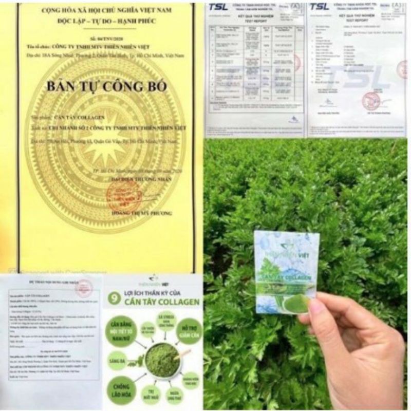 Cần tây collagen thiên nhiên việt (hộp 30 gói).100% hàng chính hãng 100% | BigBuy360 - bigbuy360.vn