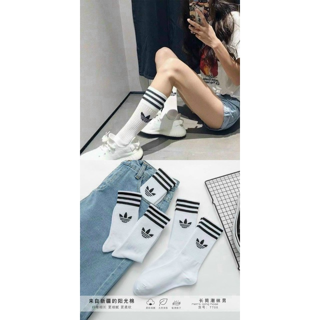 TẤT VỚ CAO CỔ NAM NỮ KHÁNG KHUẨN, COTTON NHẬP NGOẠI THẤM HÚT MỒ HÔI