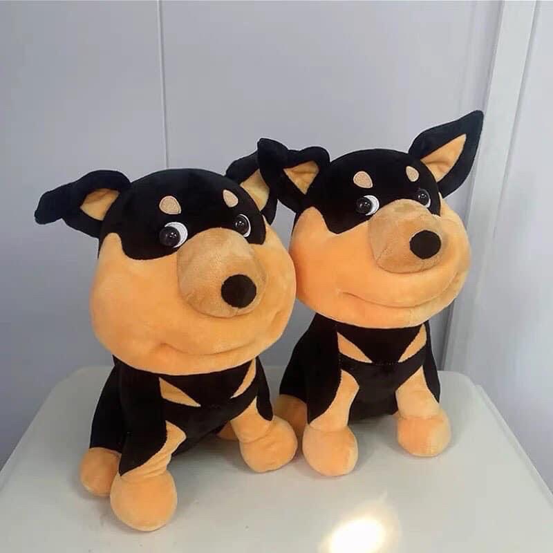 Chú chó bị ong đốt🐝