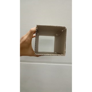 HL - 1 Thùng carton size 10x10x5